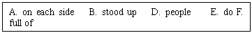 ı: A. on each side B. stood up D. people E. do F. full of 
G. push H. other things I. the people J. lay down
