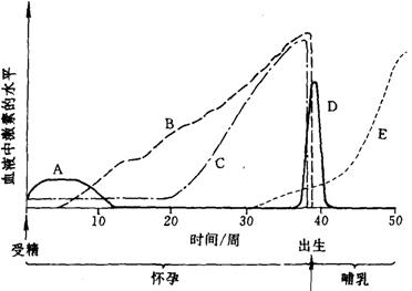 下图表示妇女怀孕,生产和泌乳过程中有关激素在血液中浓度变化的情况.