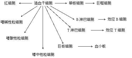 高二生物上学期周练试题1