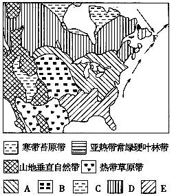 美洲自然带分布图图片