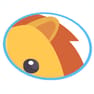 掌上巍山APP