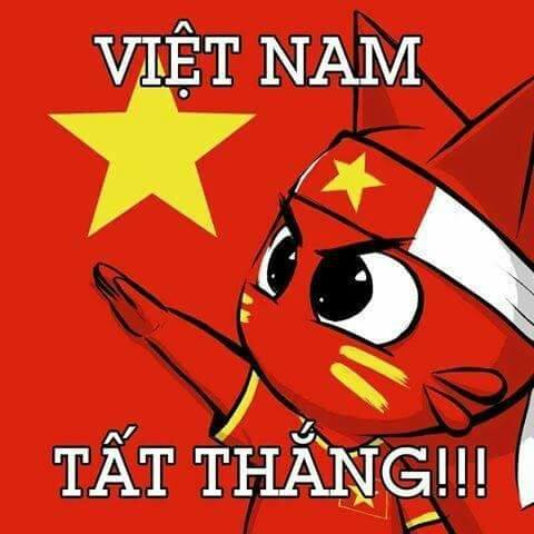 金鱼自媒体APP